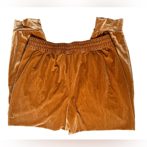 Fabletics Daria Velour Joggers in Light Honey - Picture 7 of 10